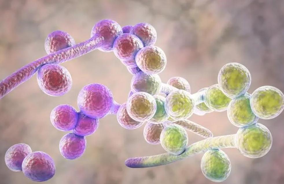 不起眼的五个行为正在毁掉你的肾,6个不起眼的习惯正在伤害眼睛