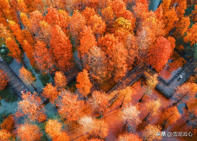初冬雨天山林视频,初冬山居