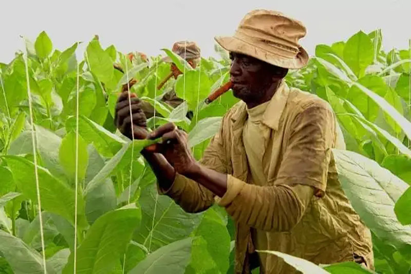 14种绝版老香烟抽过一种你就老了,四川绝版老香烟见过五种算你老了