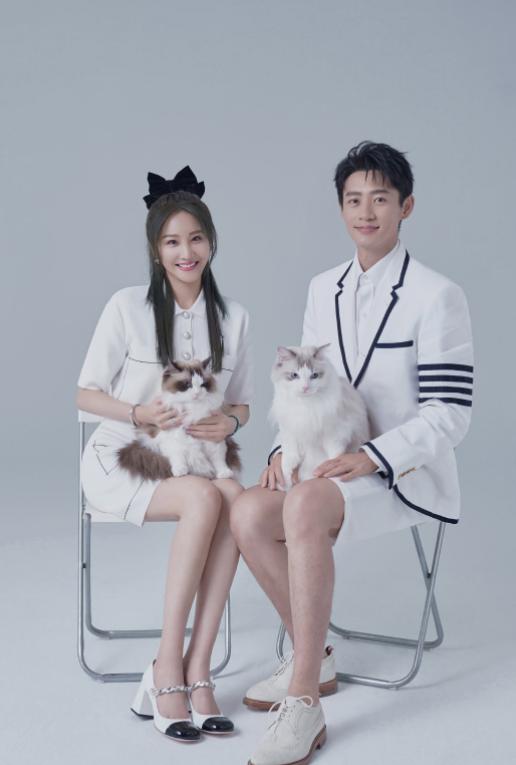 魏晨公开恋情微博祝福,魏晨结婚十年之久的爱情长跑