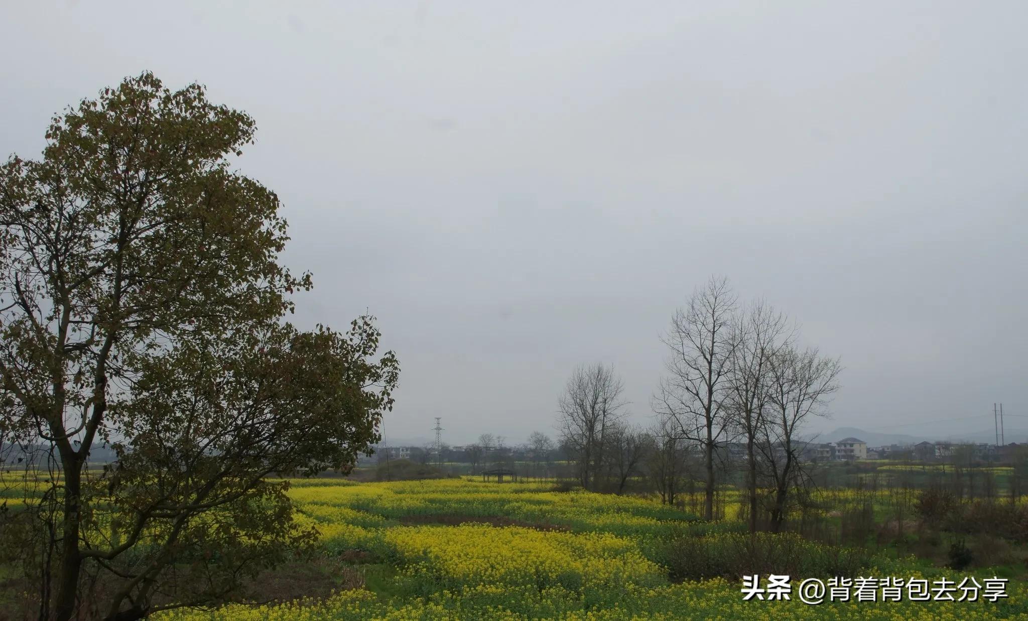 湖南十大风景打卡地,湖南十大风景名胜排名