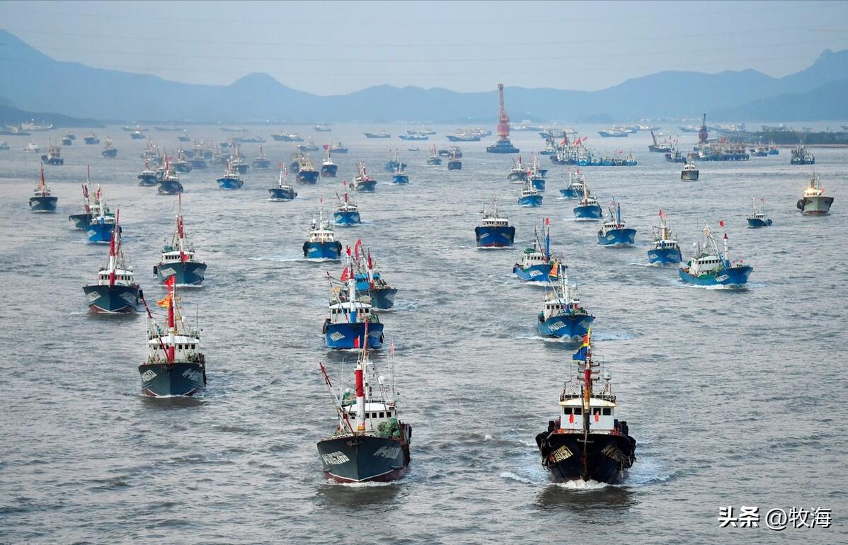 南极磷虾船最新消息,南极磷虾大爆发