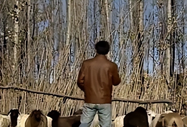 云南农村小伙捡到一只小猫,小伙捡到一只活体小猫