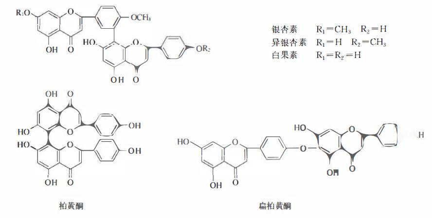 含黄酮类成分的药材有,陈皮的黄酮类成分作用
