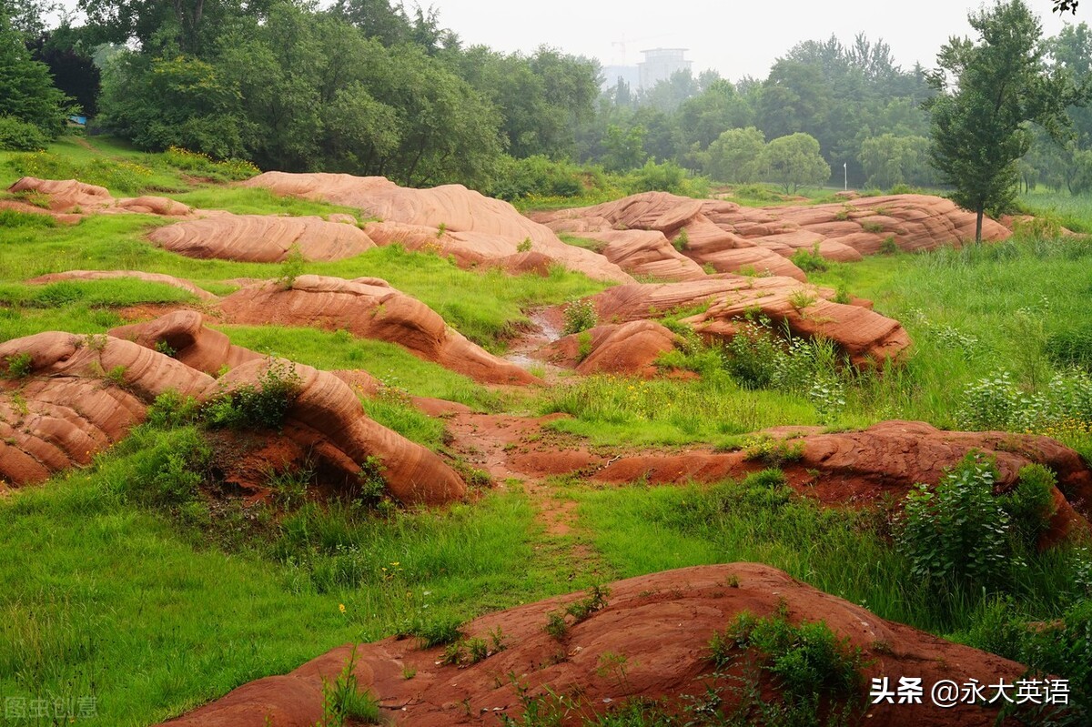 英语学科素养与学科体系,历史核心素养的层级性