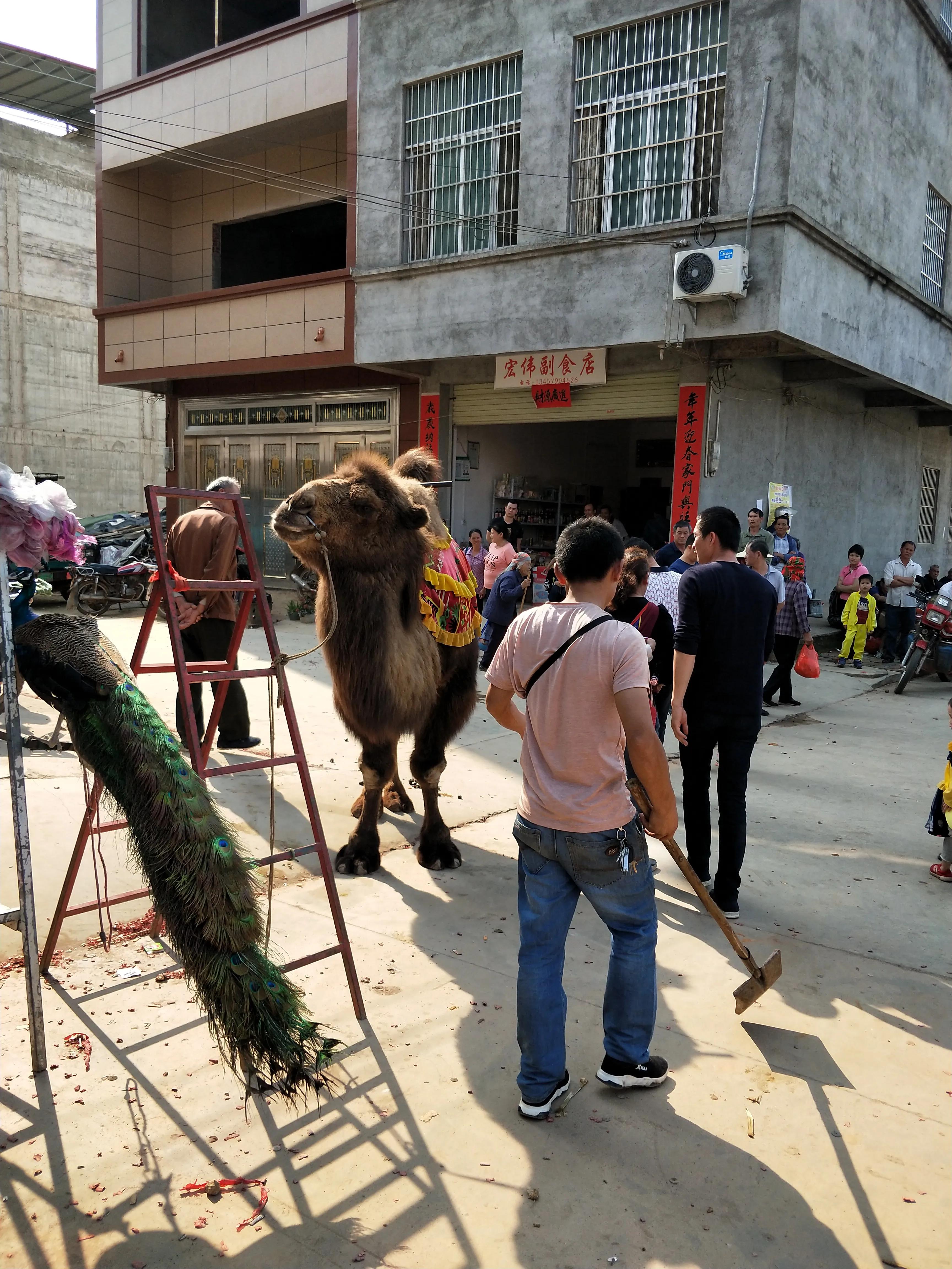 千年民俗传统庙会,记忆中的庙会有哪些