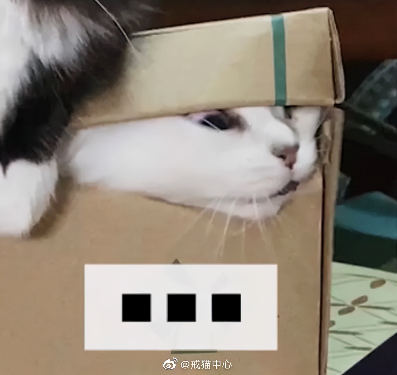 家庭监控下的一幕真实视频完整版,家庭监控下的真实一幕