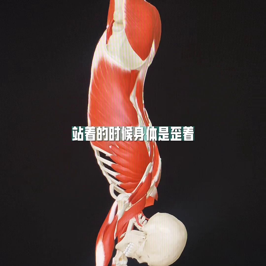 体态歪斜会导致脸变大吗,体态歪斜