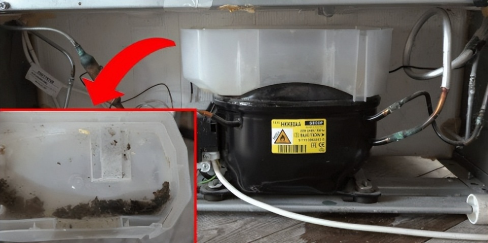 冰箱使用小常识,冰箱小知识如何正确使用