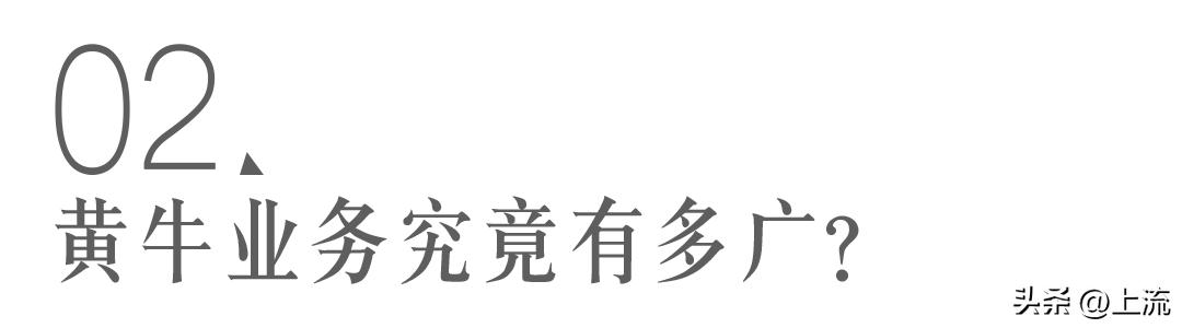 黄牛的操作能有多离谱,论黄牛的操作有多离谱