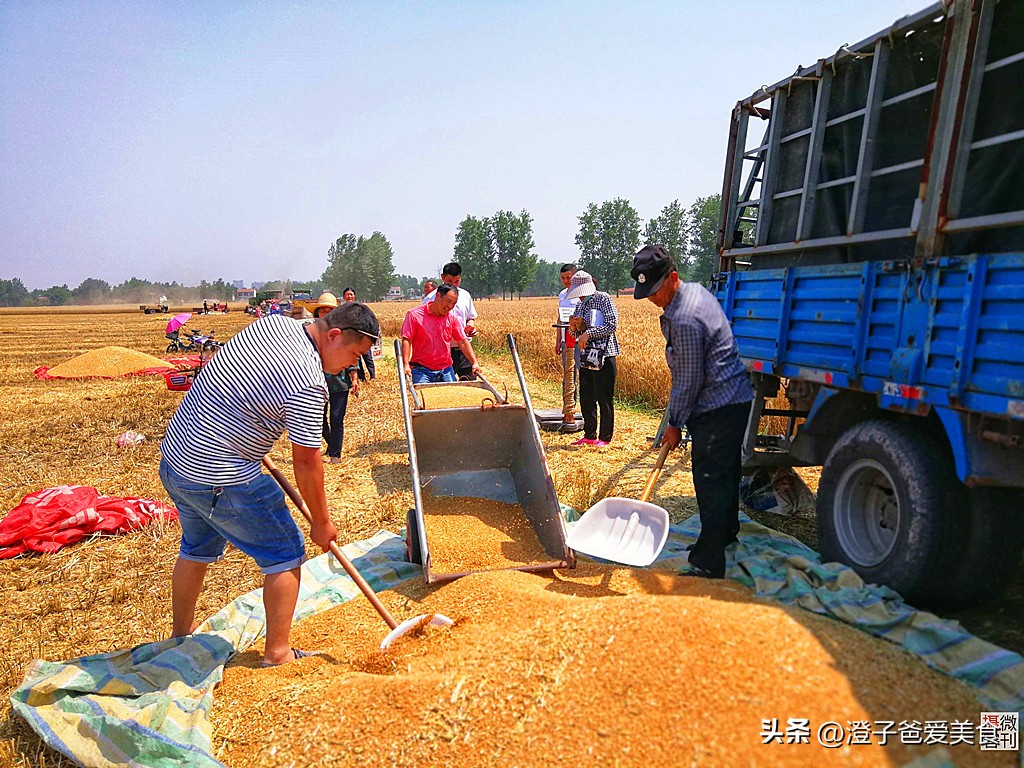网上买的酒怎么不是生产地发货,为什么网上河南郑州卖的酒便宜