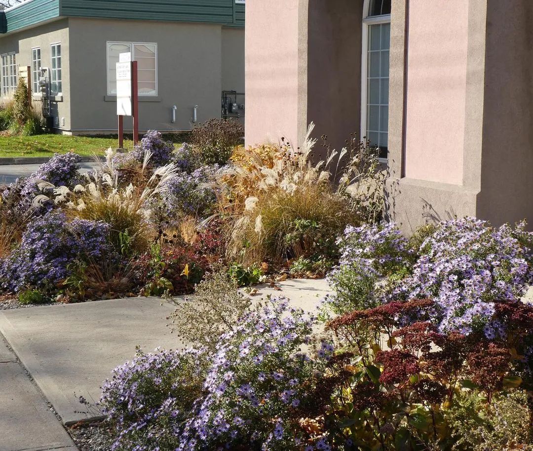 庭院排水工程,庭院排水的视频