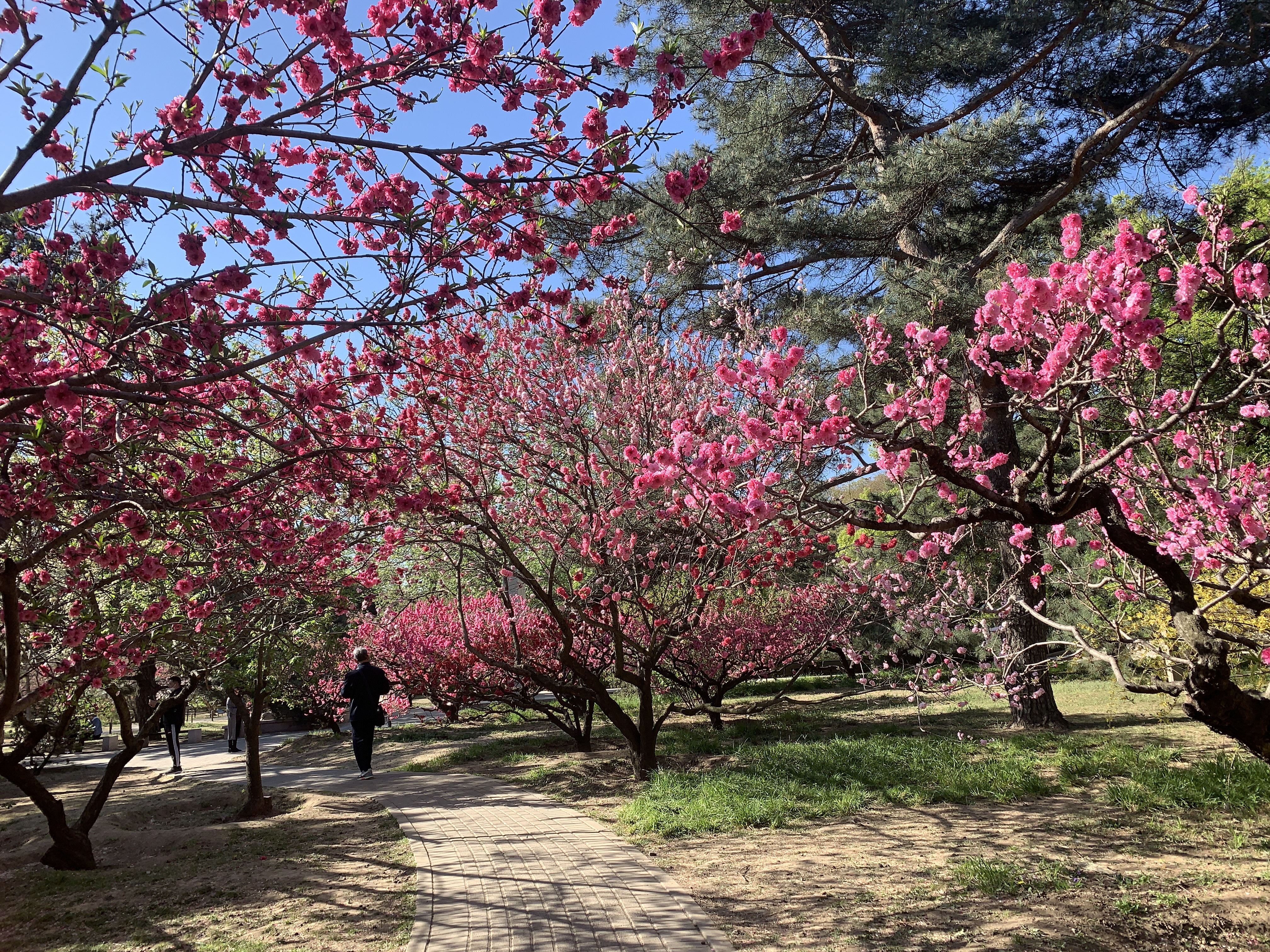 土地增值税中的普通住宅标准,土地增值税清算对普通住宅的界定