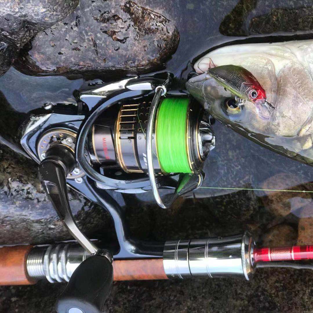 路亚钓鱼万金油钓组,路亚钓鱼实战视频流水区