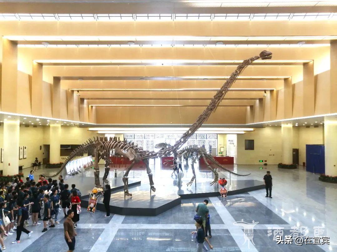 恐龙故乡黑龙江,四川的恐龙之乡