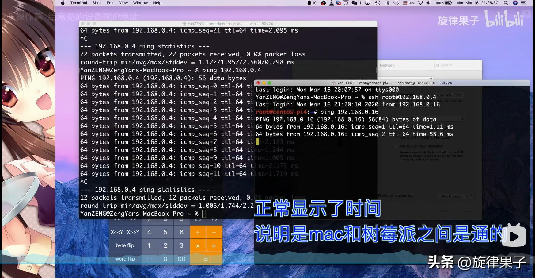 ip地址分配操作,mac地址绑定解决ip冲突