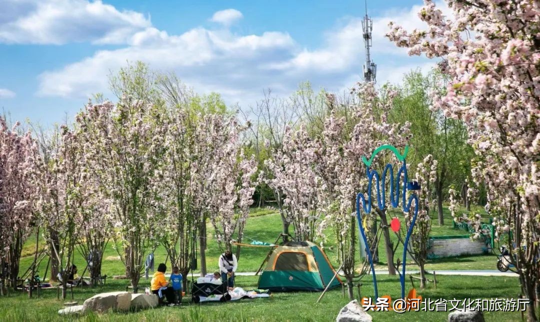 秦皇岛免费露营地推荐,秦皇岛露营地推荐晚上