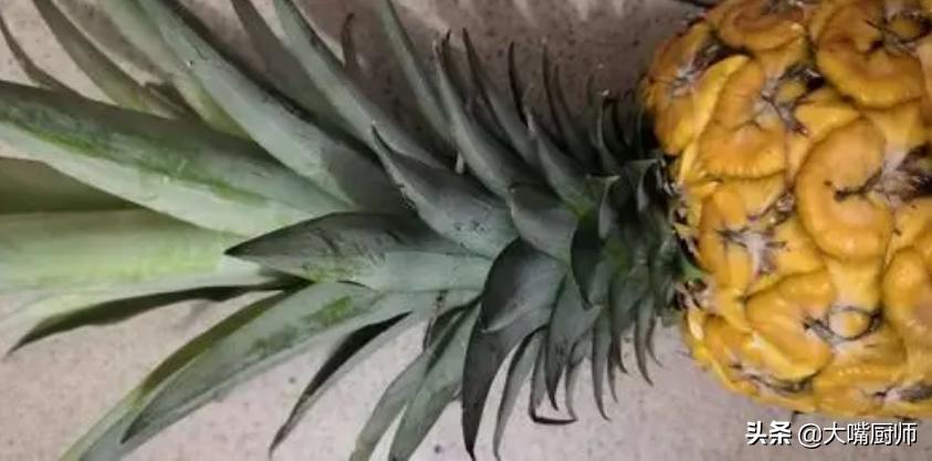 果农教你如何区分菠萝与凤梨,菠萝尝起来酸的还是甜的