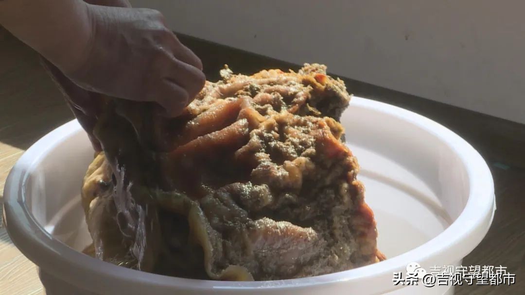 男子捡到太岁天天喝水,记者在河边采访村民捡到太岁