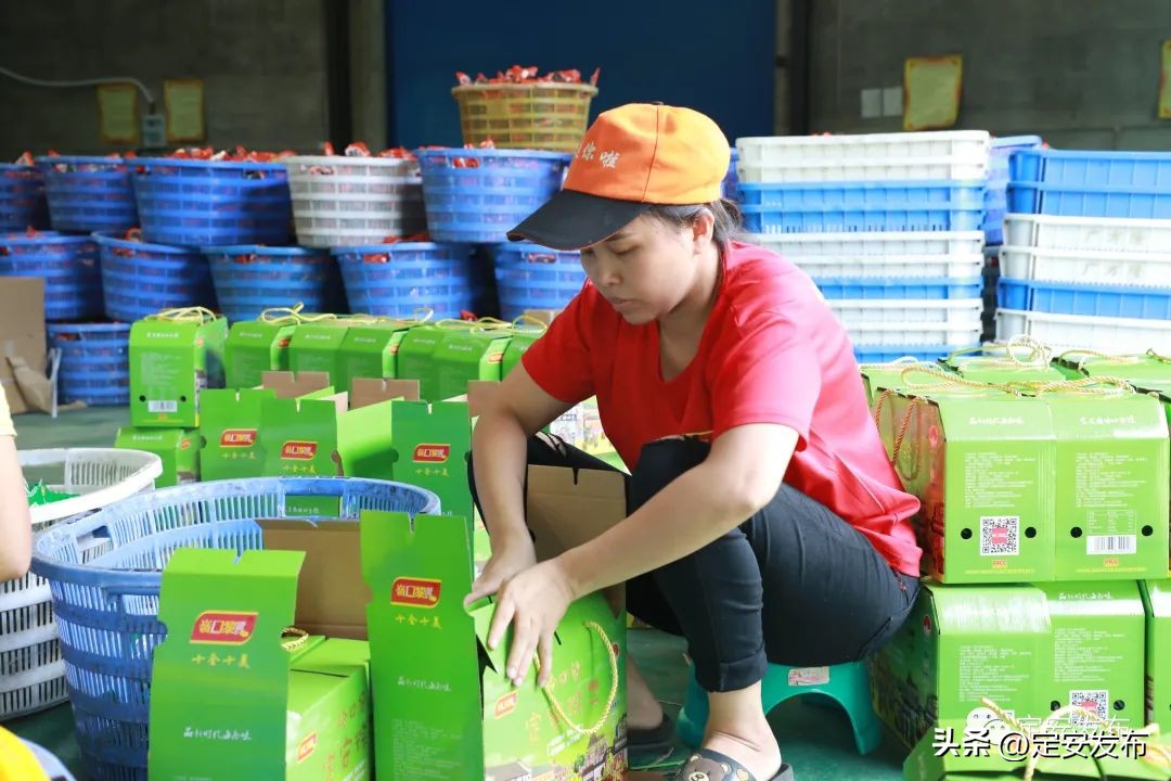 定安岭口槟榔厂,定安鸿发槟榔加工厂