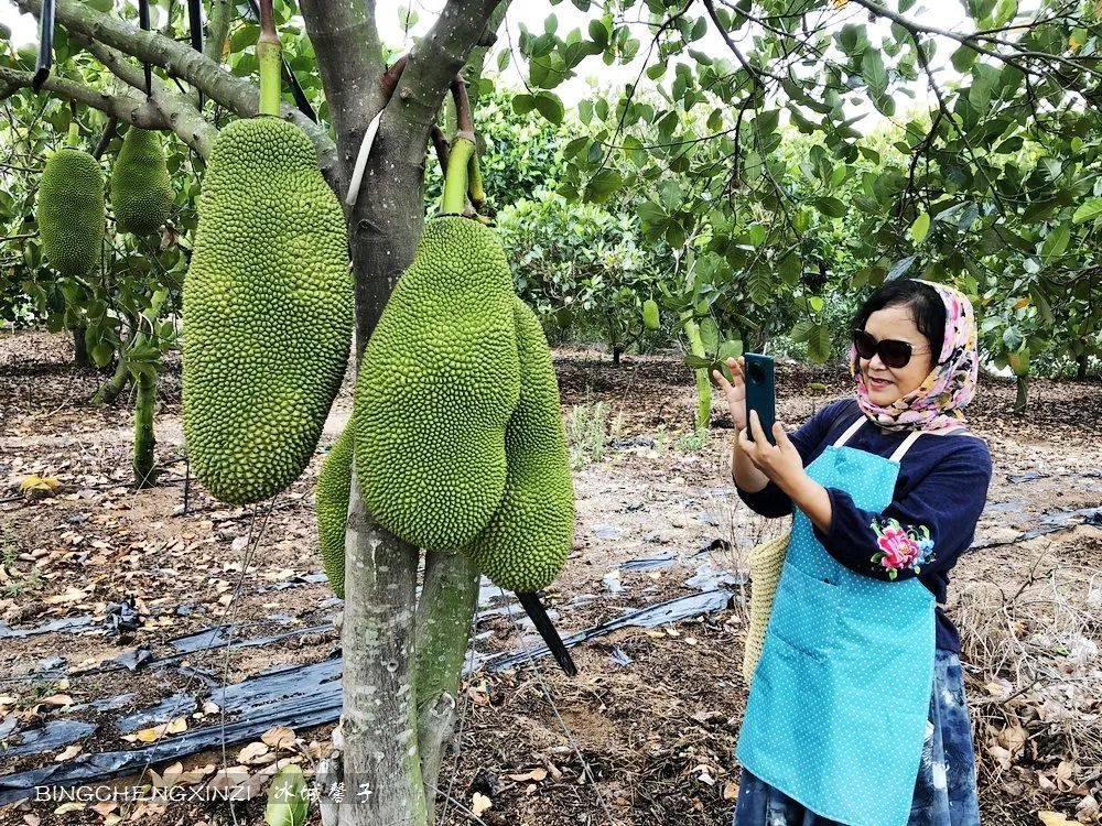 旅居海南,旅居式旅游生活海南