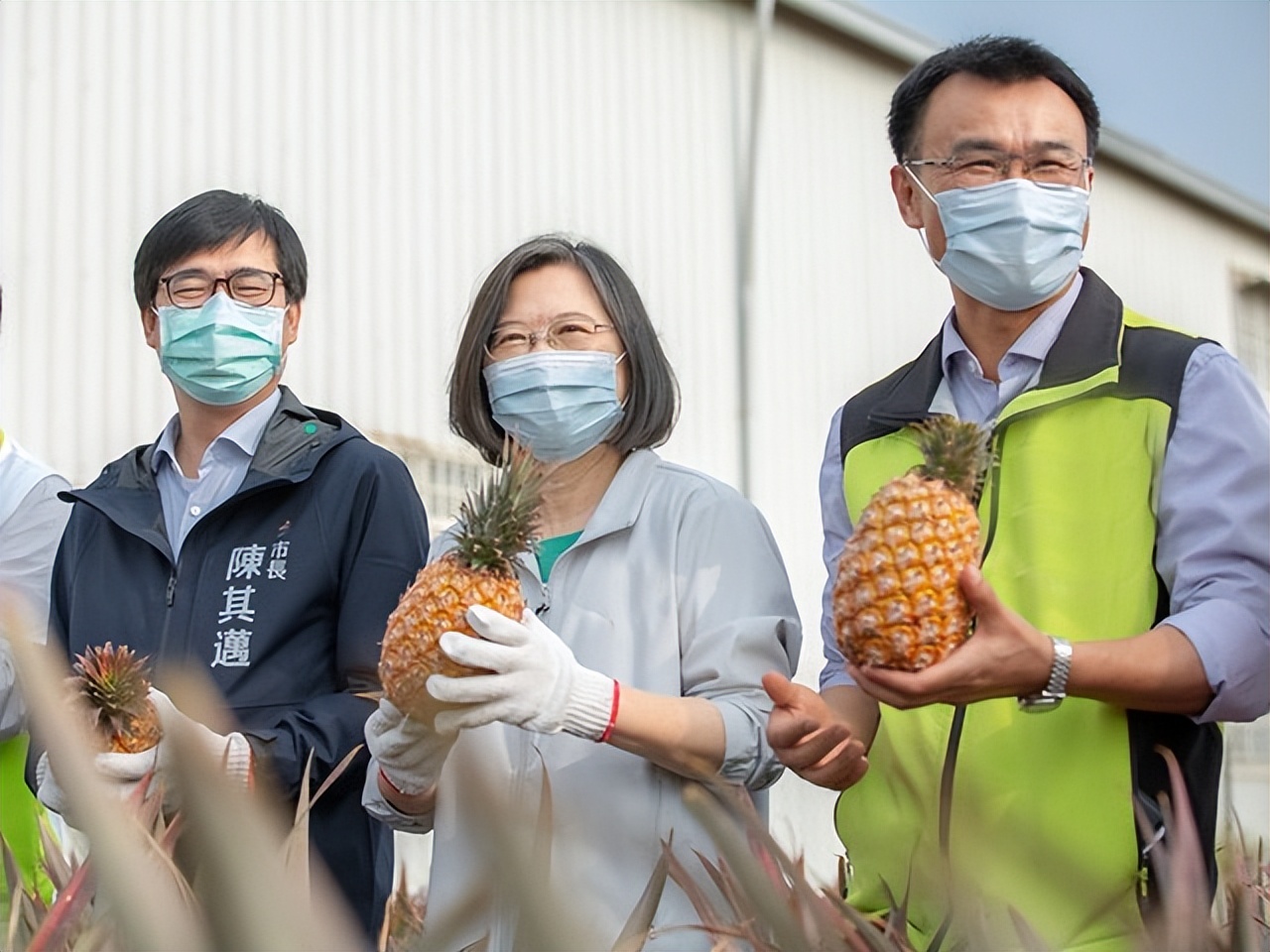 台湾为什么不进口鸡蛋呢,台湾为什么不进口大陆鸡蛋