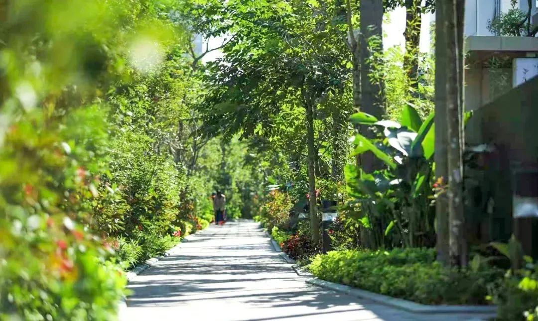 德宝怡高别墅,德宝怡高缺点