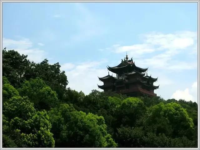 卧龙生武侠小说《飞燕惊龙》第三十回 花树迷阵