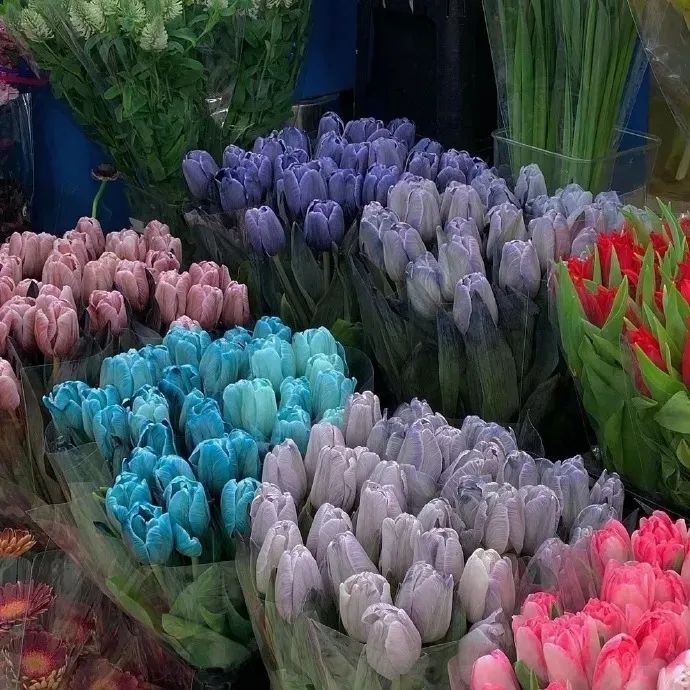 背景图ins风鲜花,ins复古黑色鲜花壁纸