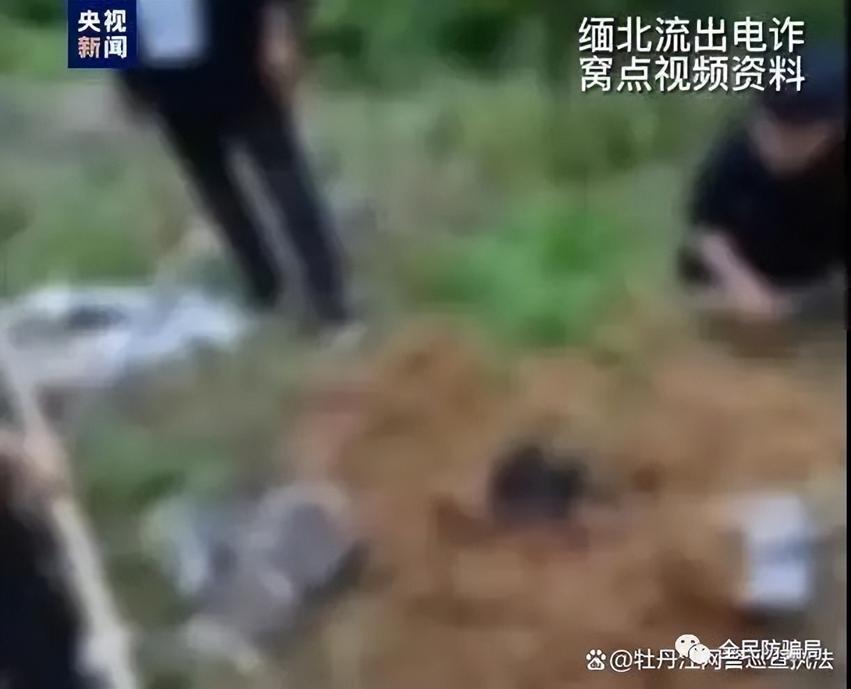 被骗卖淫真实案件,女人骗失足少女被反诈骗