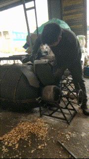 健身房有多乱知乎,健身房真的乱吗知乎后续