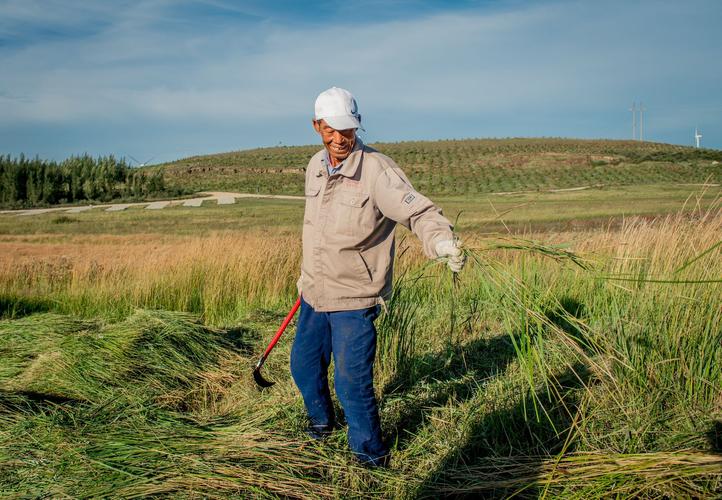 中央对贫困地区的补助标准,中央100亿补助农民如何下发的
