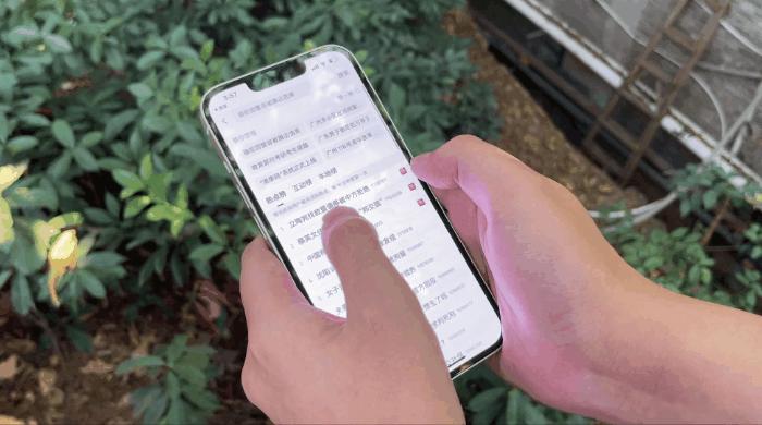 为什么iphone的返回键按不下去,为什么iphone返回手势不灵敏