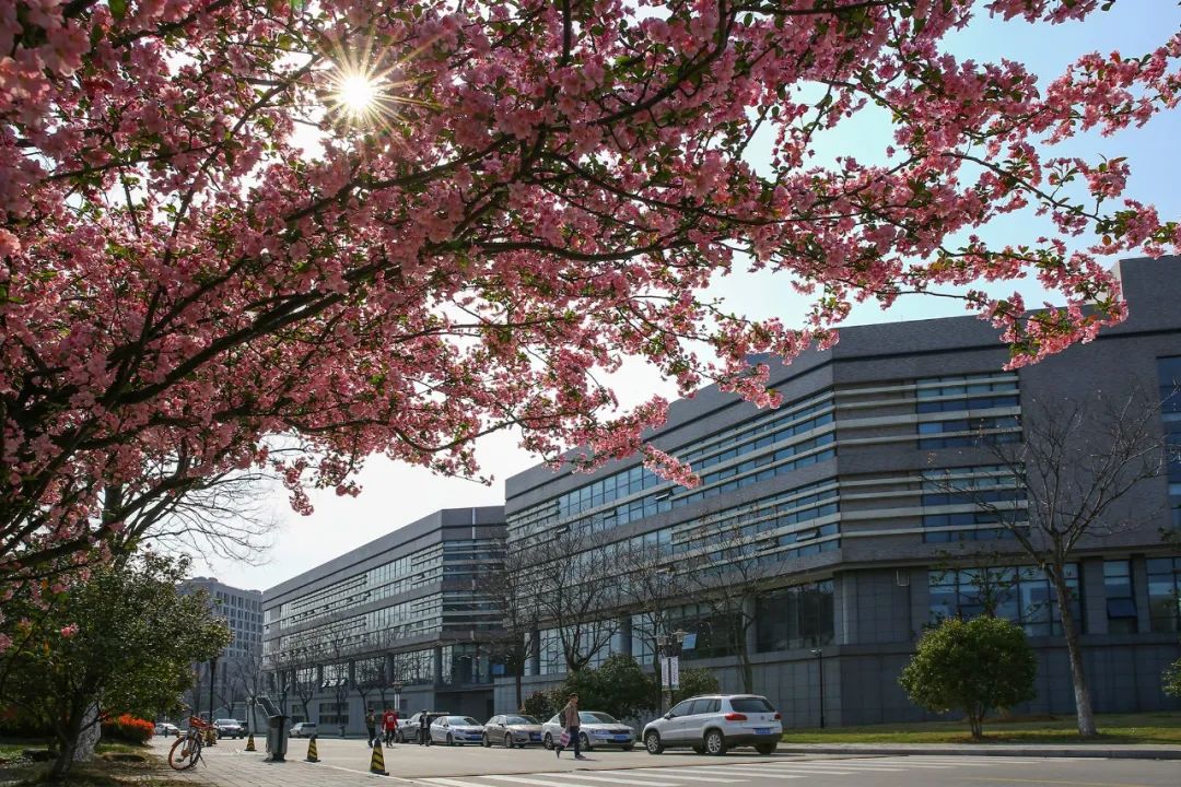 河海大学简介，附2022届深造、就业质量