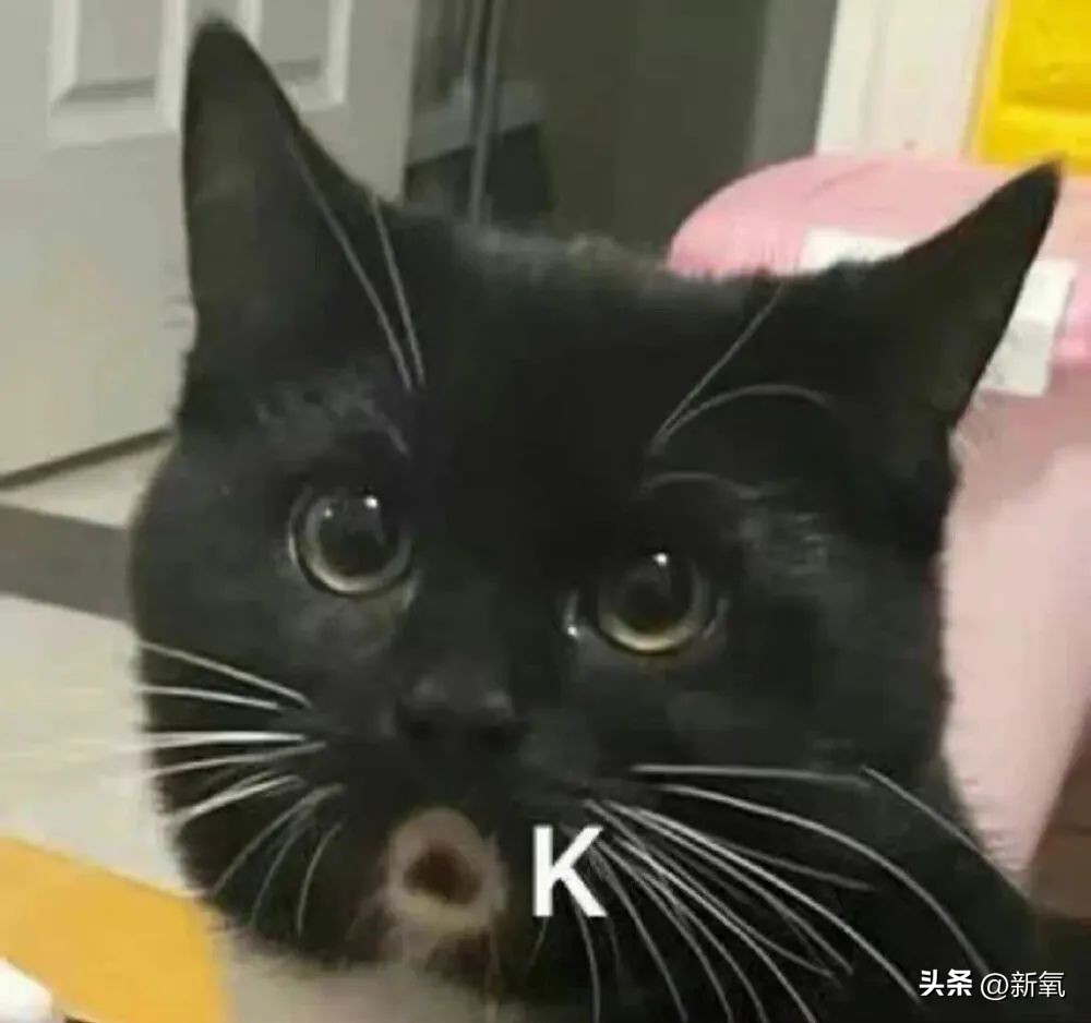 大长今冻龄女神李英爱,韩国李英爱年轻时图片