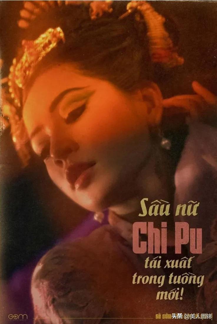 越南芝芙,芝芙越南