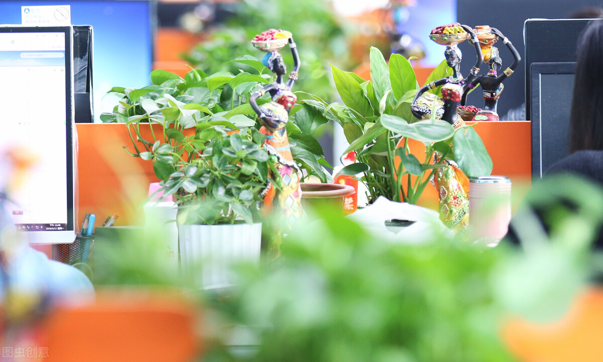 绿萝怎么修剪才能长得更好,绿萝怎样修剪才长得茂盛