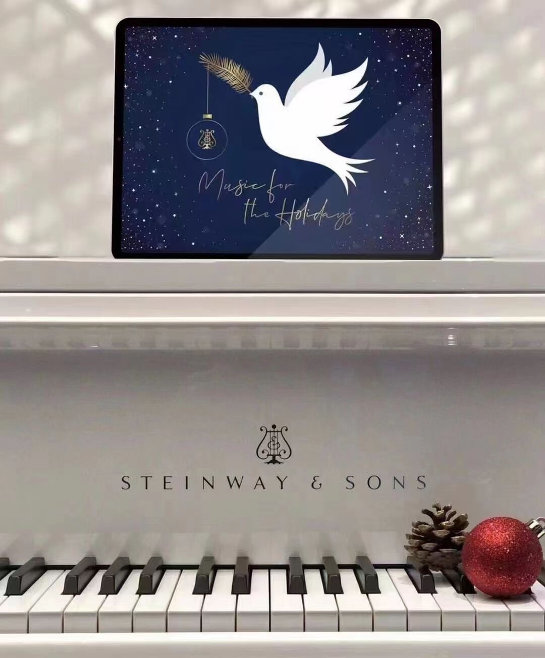 附近的施坦威钢琴专卖店,武汉施坦威钢琴专卖店