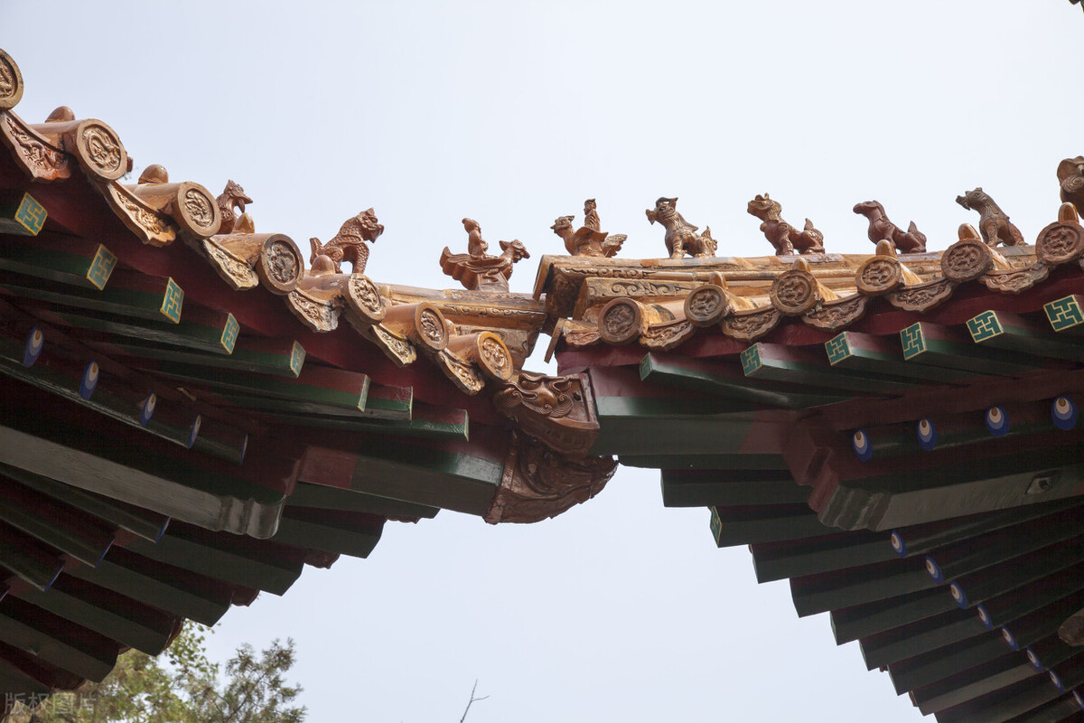 20、我与大学女导师的虐缘:相互试探,反复设陷