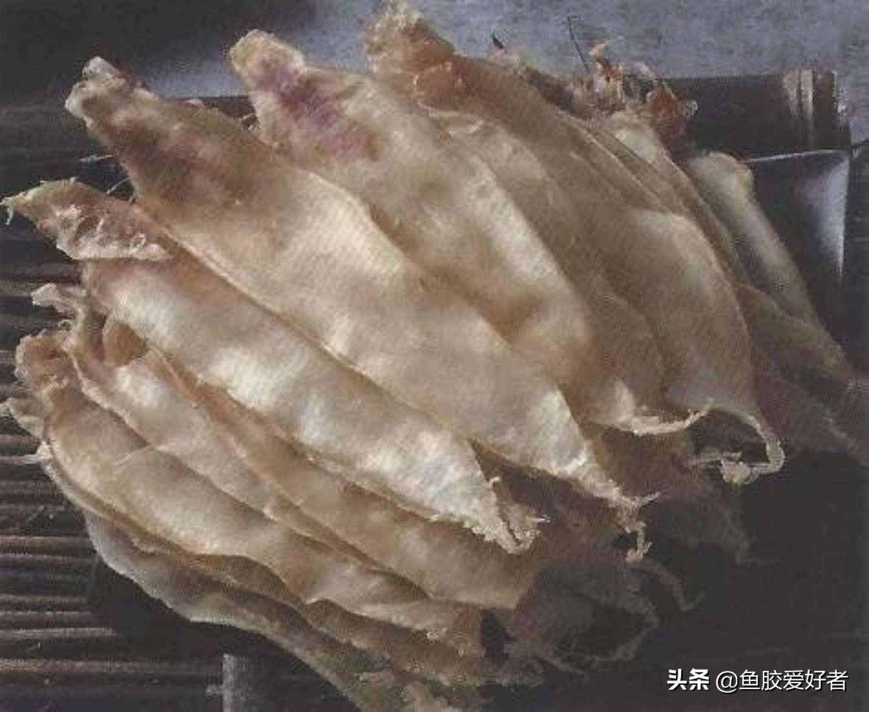 实惠又好的鱼胶,平价的鱼胶推荐