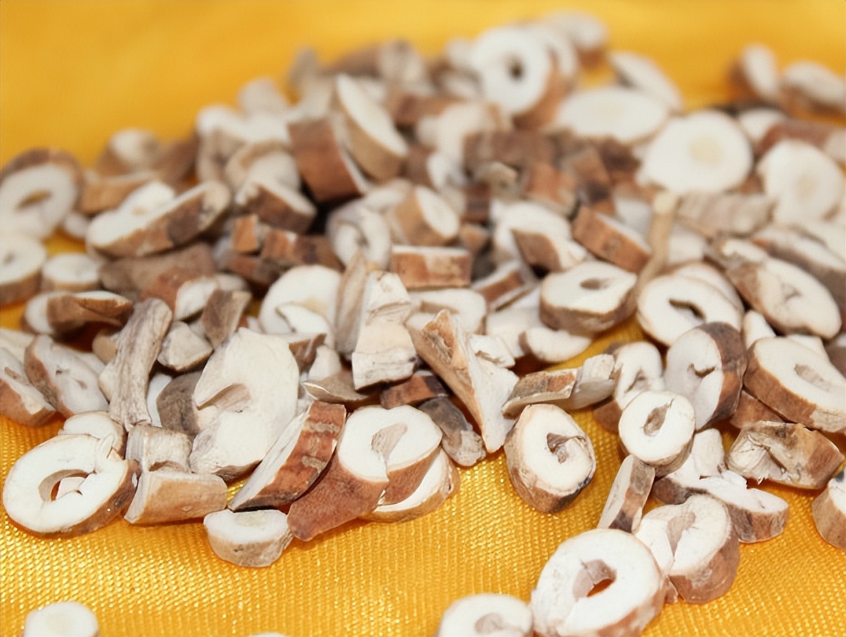 仔猪大肠杆菌性腹泻的防治