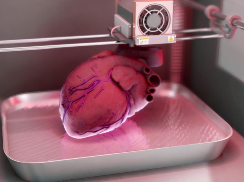 人类真的能杂交吗,人类动物能混血吗