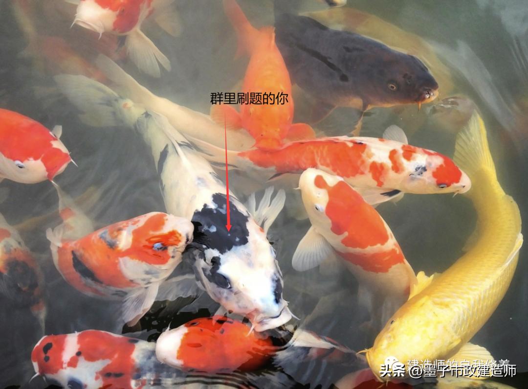 一级建造师如何刷真题效率高,一级建造师考试多选题难