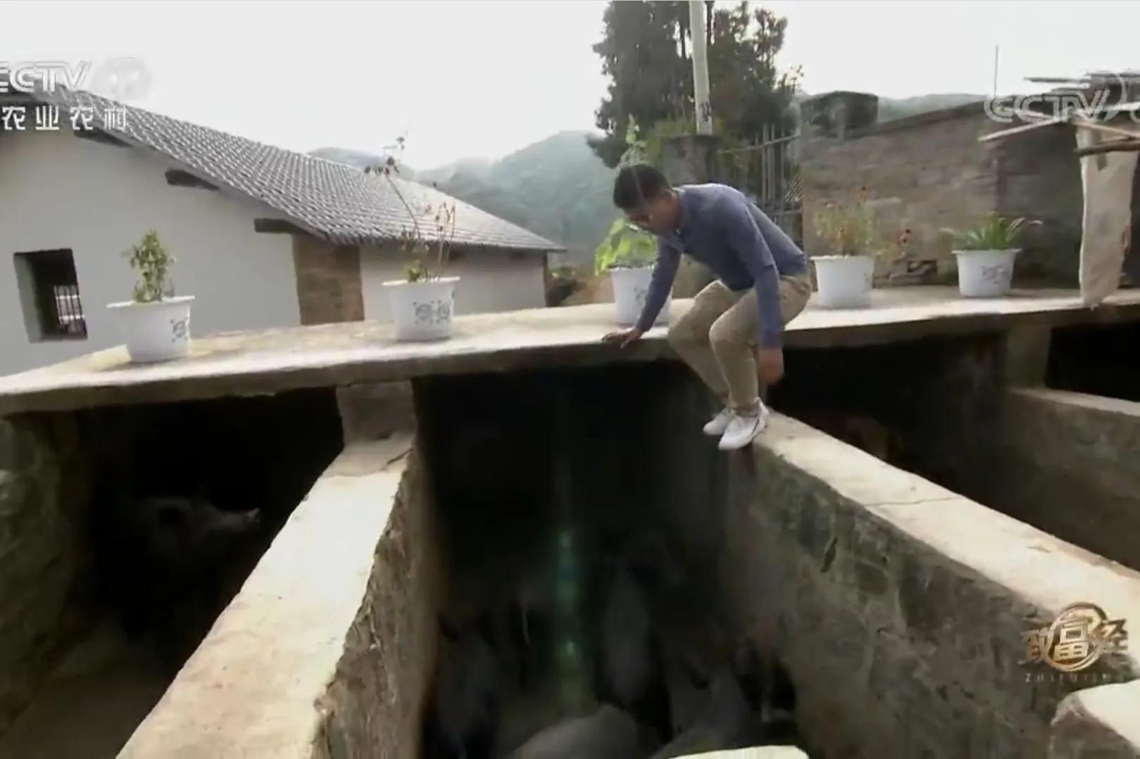 男子承包900亩荒山创业,小伙承包500亩地种特产如今暴富