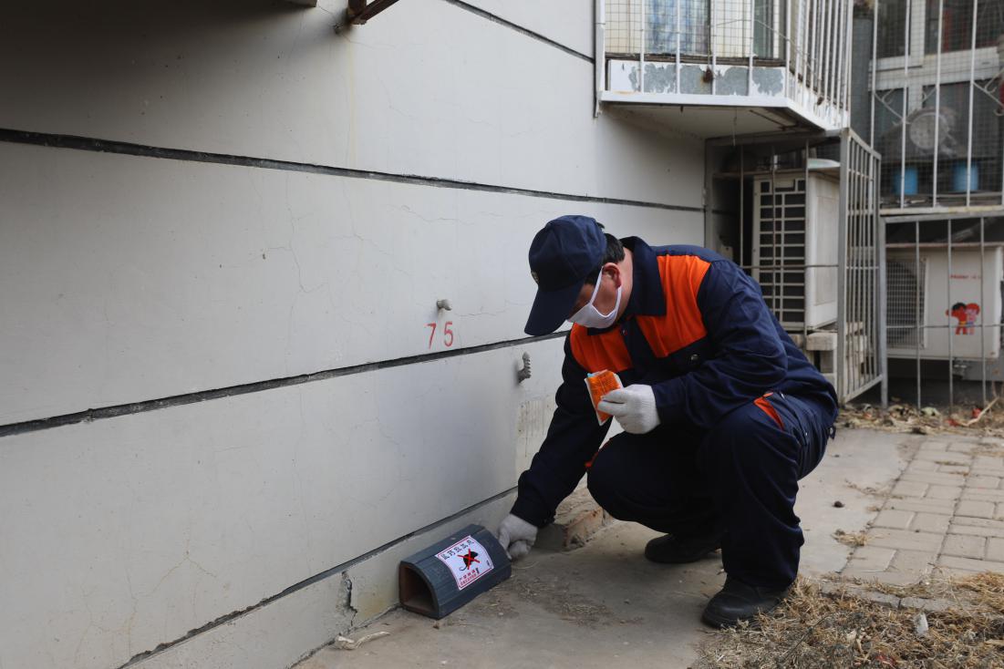 饭店消杀蟑螂方式,饭店有蟑螂用什么药