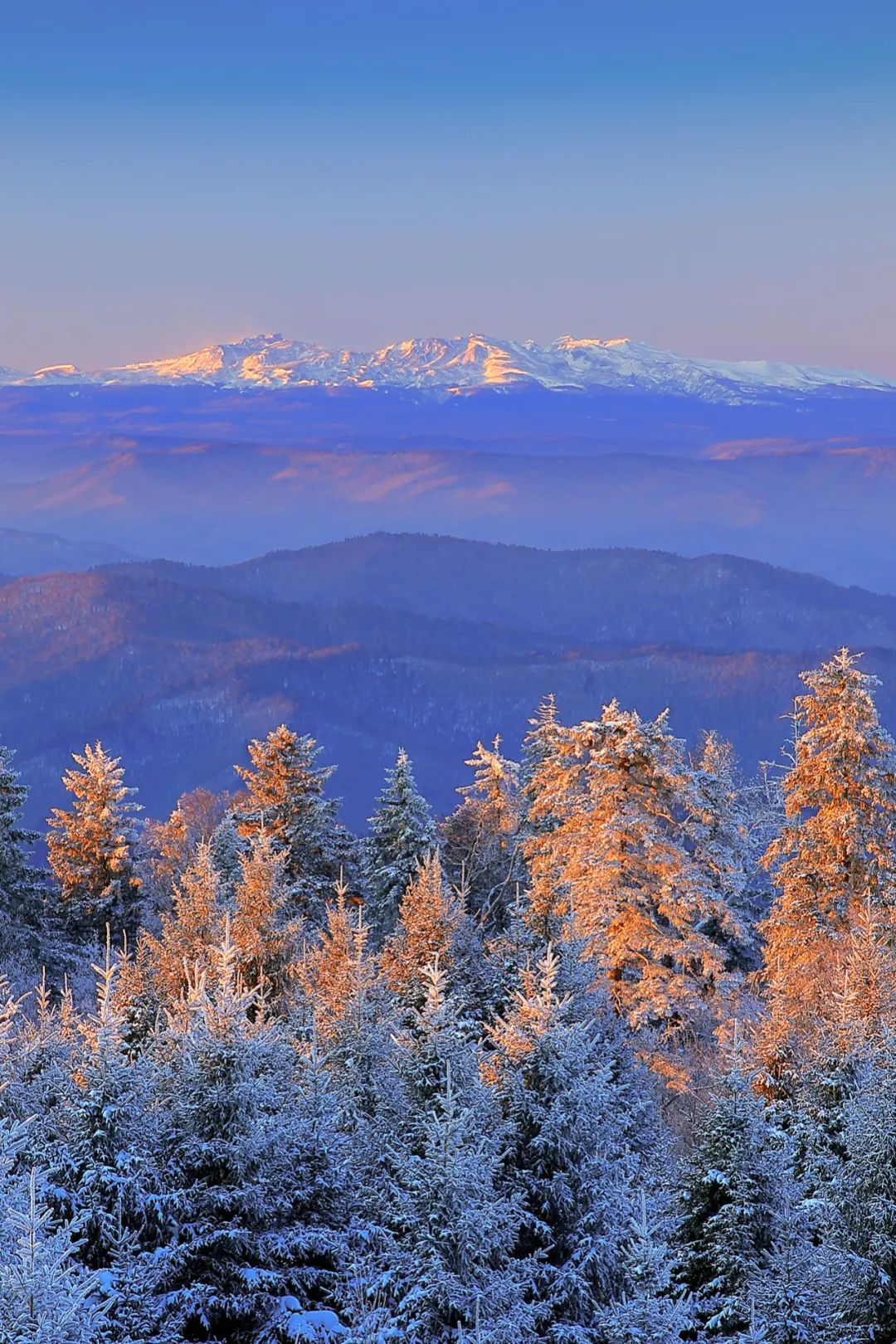 东北延边韩国人多吗,延边说话和韩国一样吗