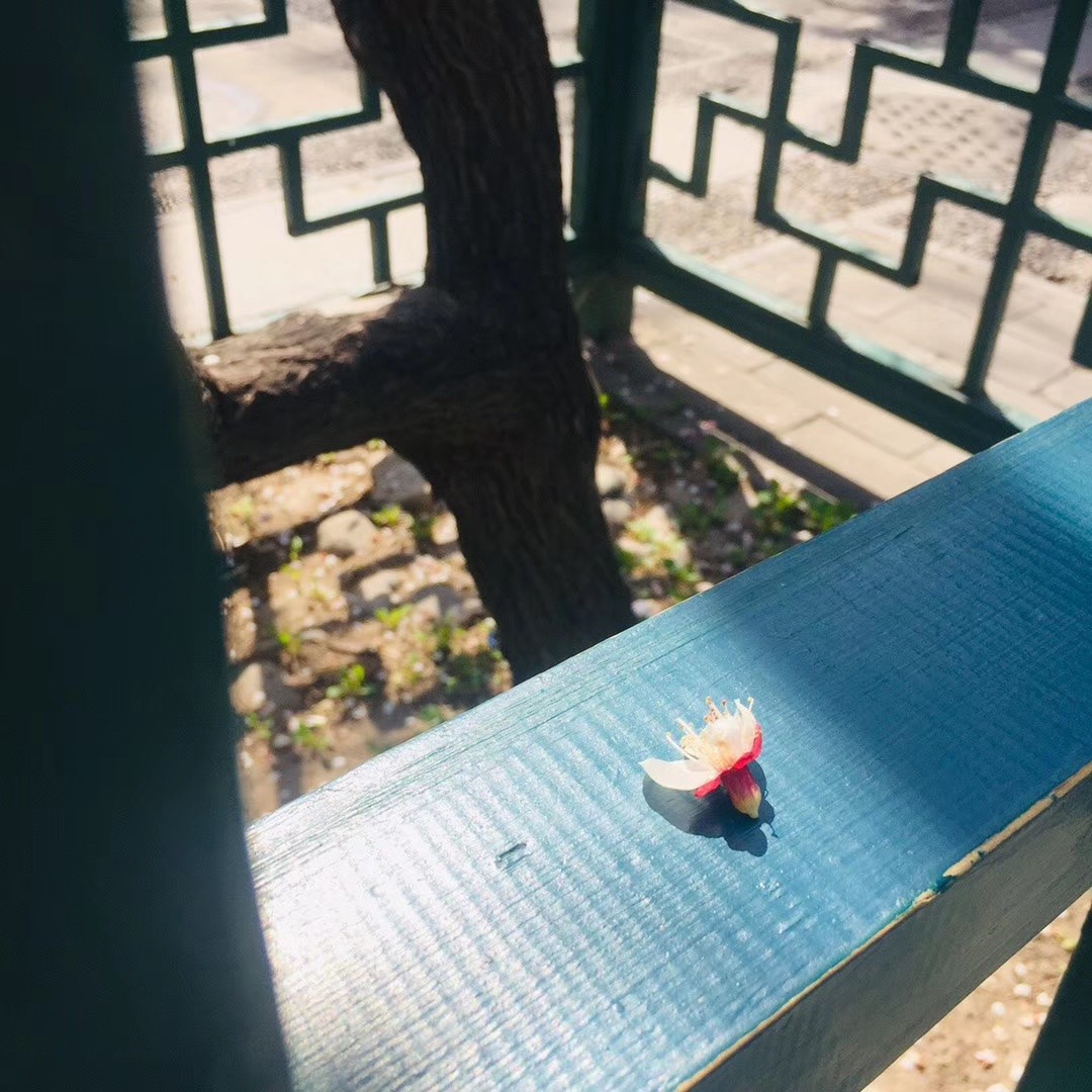 看起来温柔实际上凶猛,看起来温柔实际上很狠