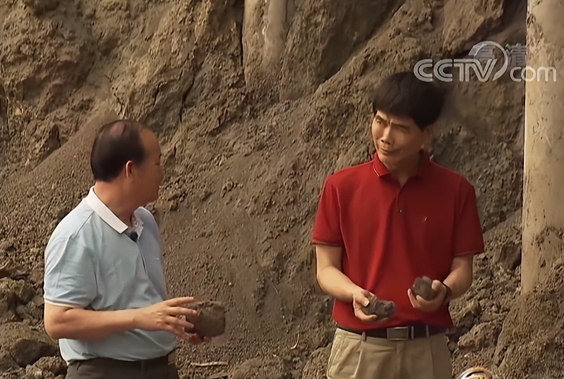 大叔养牛变废为宝,秸秆变废为宝养牛