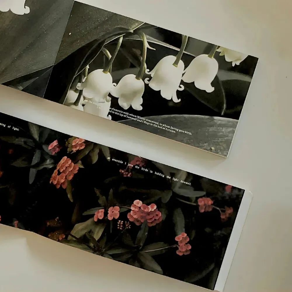 头像高级小众男士用,头像高级小众动漫女