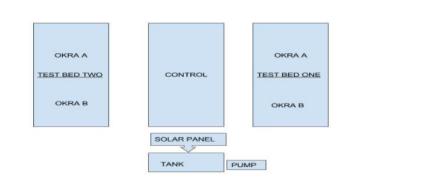 无线传感器网络技术：不同肥料处理下生长的秋葵的比较分析